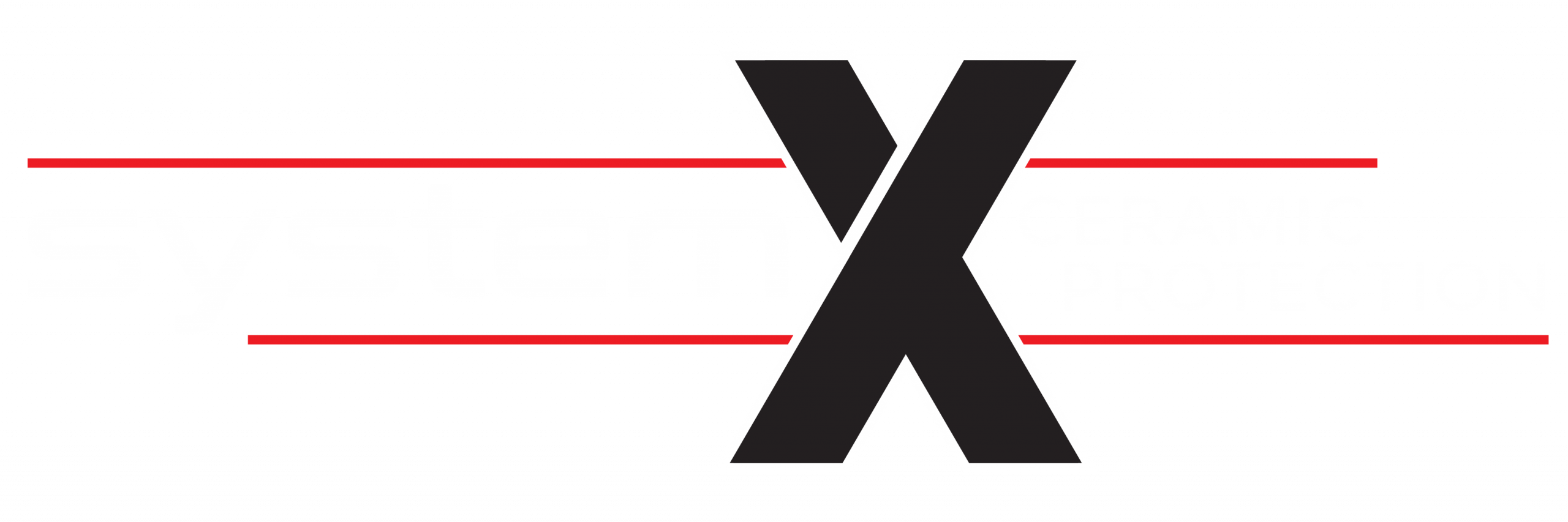 System X