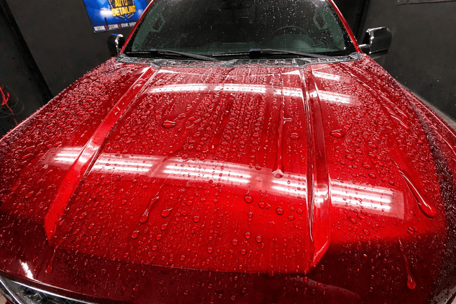Water beading on ceramic coated red paint at SkyShine Auto Detailing